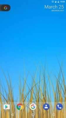 Play Grass LWP [Revamped+PRO] 